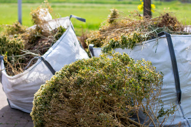 Best Junk Removal Near Me  in Kelseyville, CA
